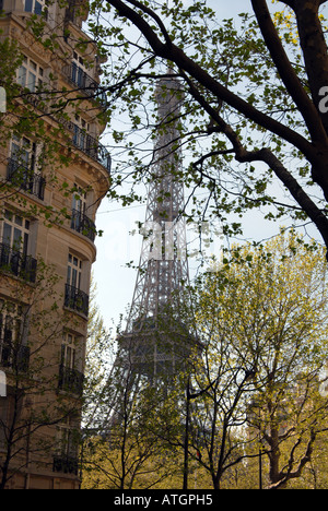 Gesehen aus der Ferne durch blühende Bäume Paris Eiffelturm Frankreich Stockfoto
