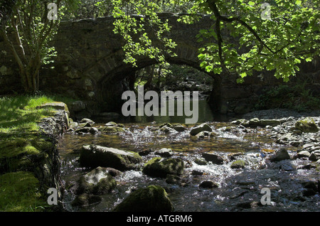 Gebirgsbach und Brücke kleines Waldgebiet mit Parkplatz in der Nähe von Llyn Gwernan, Ortszentrum, Gwynedd, Wales Stockfoto