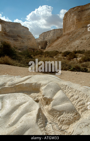 Modell der Sandstein Schlucht in Ein avdat oder ein Ovdat eine Schlucht, in der Wüste Negev in Israel Stockfoto