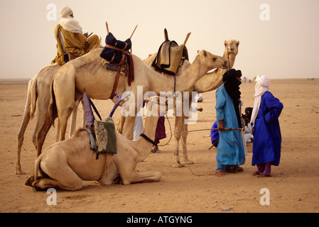 In-Gall in der Nähe von Agadez, Niger. Tuareg in der Wüste Gespräch. Stockfoto