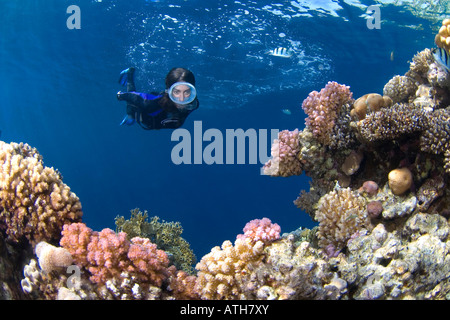 Schnorcheln im Korallenriff, Rotes Meer-Ägypten, Unterwasser, Tauchen, Meer, Schnorchel, weibliche Taucher, ovale Maske, Korallenriff, tropischen Riff, Stockfoto