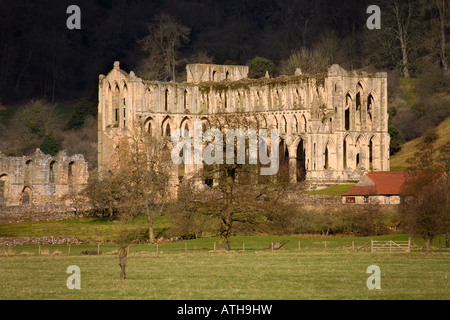 Ruinen von Revaux Abbey in North Yorkshire im Nordosten von England Stockfoto