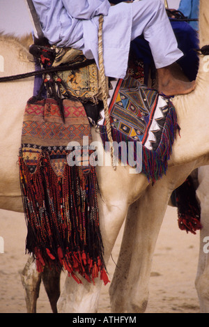 In-Gall, in der Nähe von Agadez, Niger. Tuareg Kamel Decke und Dekorationen Stockfoto