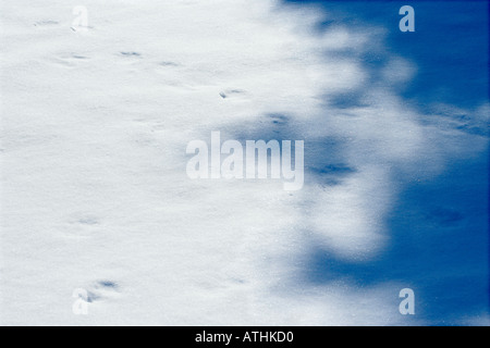 Schatten auf dem Schnee, Montreal, Kanada Stockfoto