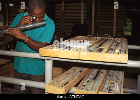 Geologe Prüfung Probe Mineral Kern für Gold, SOMIAF Gold Mine, Côte d ' Ivoire (Elfenbeinküste) Stockfoto