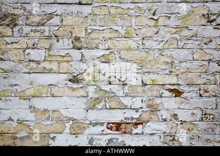 Alten Peeling und rissigen Lack an einer Wand, Surrey, England. Stockfoto