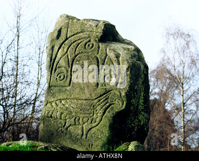 Adler Vogel Motiv geschnitzt auf piktische Denkmal bekannt als Eagle Stein in Strathpeffer, Cromarty, Hochlandregion, Schottland. Stockfoto