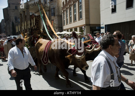 Andalusische folklorical Festival in Barcelona Stockfoto