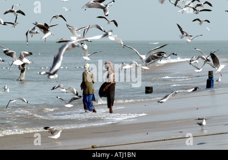 FRAU, DIE DEN FANG ENTLADEN IN TANJI. EIN FISCHERDORF IN DER GAMBIA WESTAFRIKA. Stockfoto