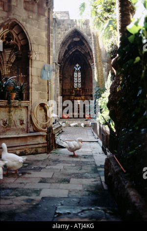 Hof der Kathedrale La Seu in Barcelona Stockfoto