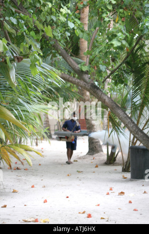 Mann gegen Moskitos auf den Malediven unter den Palmen am Sandstrand von einem Paradies Urlaub Atoll Spritzen Stockfoto