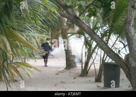 Mann gegen Moskitos auf den Malediven unter den Palmen am Sandstrand von einem Paradies Urlaub Atoll Spritzen Stockfoto