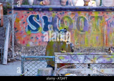 schießen die Freak Paintball-Spiel live menschliches Ziel Coney Island Brooklyn ny Stockfoto