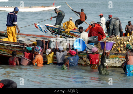 FRAU, DIE DEN FANG ENTLADEN IN TANJI. EIN FISCHERDORF IN DER GAMBIA WESTAFRIKA. Stockfoto