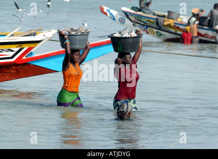 FRAU, DIE DEN FANG ENTLADEN IN TANJI. EIN FISCHERDORF IN DER GAMBIA WESTAFRIKA. Stockfoto