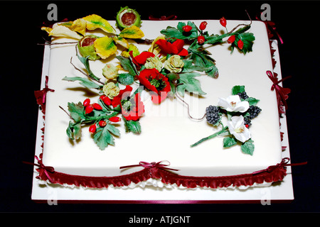 Eine schön gestaltete Hand und individuell eingerichtete Geeiste Frucht-Kuchen in einem Studio mit Flash-Design von Pam Hannon Stockfoto