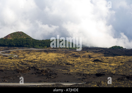Gräser unter vorsichtigen Fuß zu fassen in der Schlacke-Landschaft auf der Seite des Vulkans Ätna in Sizilien-Italien Stockfoto