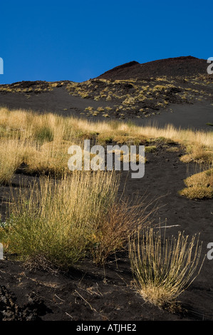 Gräser unter vorsichtigen Fuß zu fassen in der Schlacke-Landschaft auf der Seite des Vulkans Ätna in Sizilien-Italien Stockfoto