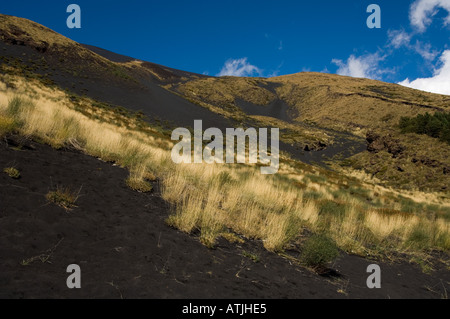 Gräser langsam wachsende zurück auf die Schlacke Landschaft an den Hängen des Vulkans Ätna auf Sizilien Stockfoto