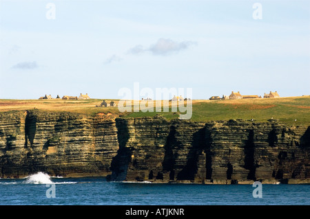 Pentland Firth, N. Küste von Schottland, UK in der Nähe von John o' Groats. Häuser, einige verlassene auf Klippe Top Westrand der Insel Stroma Stockfoto