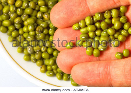 Eine Handvoll Mungobohnen Stockfoto