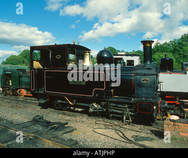 "Die Gräfin" Dampf-Lokomotive, Wales, UK. Stockfoto