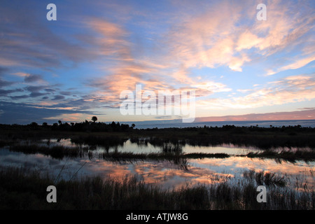 Merrit Island National Refuge Stockfoto