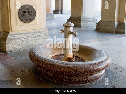 Pramen Libuse, Mühlenkolonnade in Karlovy Vary, Tschechische Republik Stockfoto