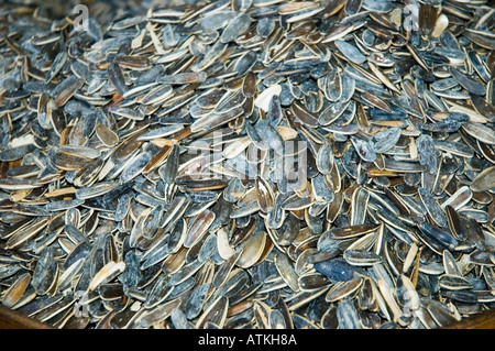 Sonnenblumenkerne zum Verkauf im Markt, Hatay, Antakya, Türkei, Naher Osten. DSC 6379 Stockfoto