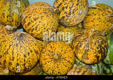 Kürbis für den Verkauf in den Markt, Hatay, Antakya, Türkei, Naher Osten. DSC 6389 Stockfoto