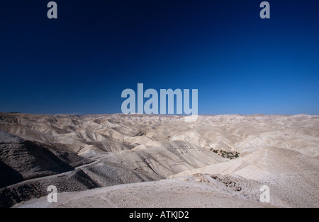 Blick über die Wüste Juda mit Sanddünen und blauer Himmel, Israel, Naher Osten Stockfoto