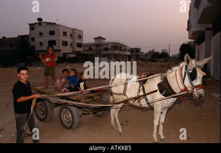 Kinder spielen auf Eselskarren, Gaza, Ägypten Stockfoto