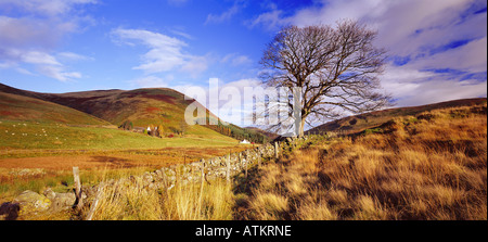 Panoramablick auf einem Glendevon Bauernhof in der Nähe von Gleneagles Perthshire Schottland Stockfoto