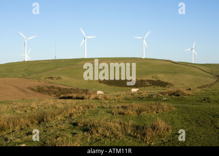 Ländliche Hügel mit auf einem Hügel gelegenen Windturbinen gegen ein klares Blau Himmel und Schafe weiden Stockfoto