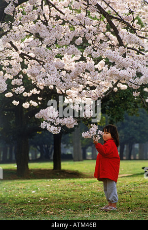 Japanische Mädchen in Tokio Shinjuku Park unter fröhlichen Blüten Stockfoto