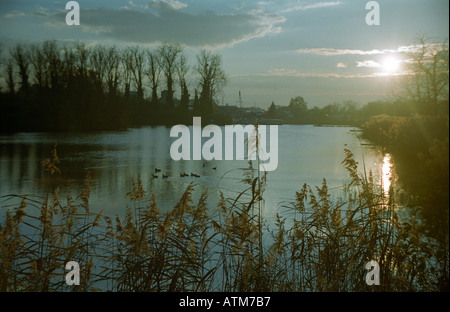 Sonnenuntergang in St. Jean De Losne südlichen Burgund Kanal de Bourgogne Saone Plaisance du port Stockfoto