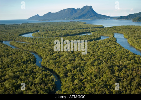 Luftaufnahme der Mangrovenwälder in Kuching und Sarawak River Borneo Malaysia Stockfoto