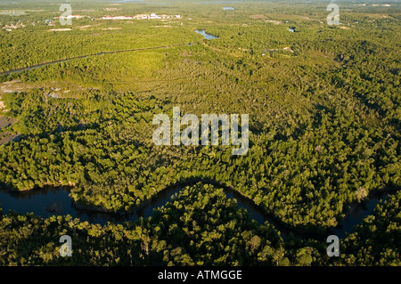 Luftaufnahme der Mangrovenwälder in Kuching und Sarawak River Borneo Malaysia Stockfoto