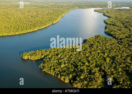Luftaufnahme der Mangrovenwälder in Kuching und Sarawak River Borneo Malaysia Stockfoto