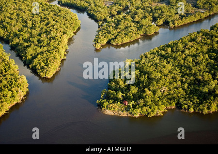 Luftaufnahme der Mangrovenwälder in Kuching und Sarawak River Borneo Malaysia Stockfoto