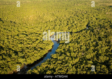 Luftaufnahme der Mangrovenwälder in Kuching und Sarawak River Borneo Malaysia Stockfoto