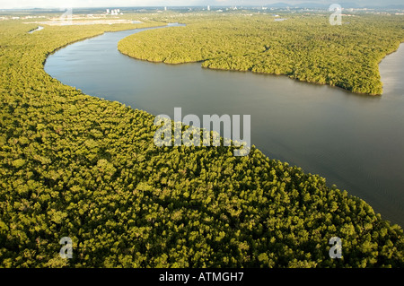 Luftaufnahme der Mangrovenwälder in Kuching und Sarawak River Borneo Malaysia Stockfoto