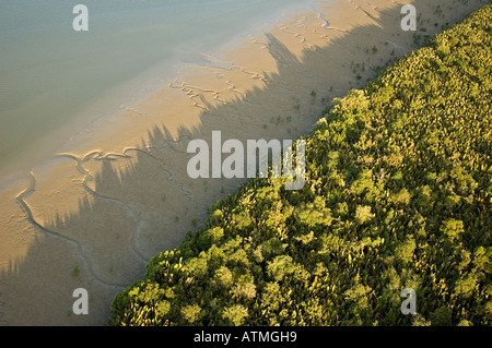 Luftaufnahme der Mangrovenwälder in Kuching und Sarawak River Borneo Malaysia Stockfoto