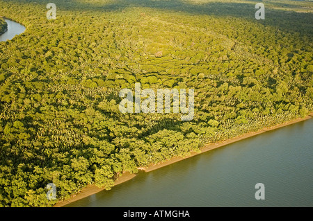 Luftaufnahme der Mangrovenwälder in Kuching und Sarawak River Borneo Malaysia Stockfoto