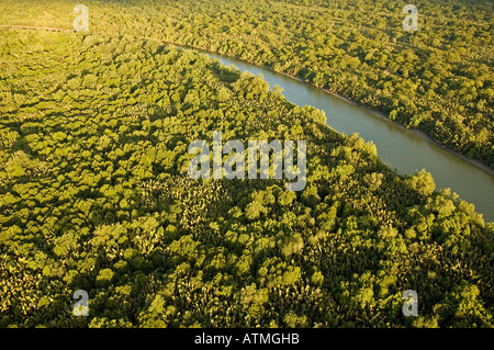 Luftaufnahme der Mangrovenwälder in Kuching und Sarawak River Borneo Malaysia Stockfoto