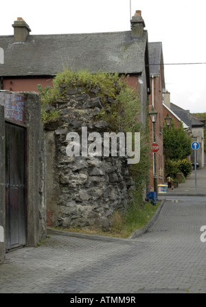 Fordes Wand Nord Stadt Wände Englishtown Limerick City Co Limerick Www Osheaphotography com Stockfoto