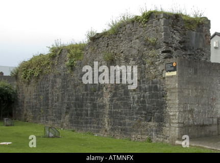 North Wall Stadt Wände Limerick City Co Limerick Www Osheaphotography com Stockfoto