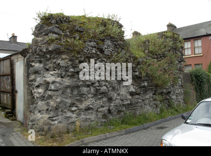 Fordes Wand Nord Stadt Wände Englishtown Limerick City Co Limerick Www Osheaphotography com Stockfoto