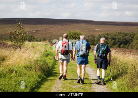 Drei Männer gehen auf Lyke aufwachen Walk Langstrecken Fußweg in North York Moors National Park Yorkshire England UK Großbritannien Stockfoto