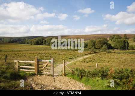 Lyke Wake Walk Pfad durch Fen Bog Yorkshire Wildlife Trust Naturschutzgebiet im North York Moors National Park, North Yorkshire, England, Großbritannien Stockfoto